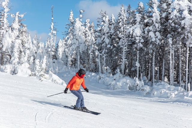 Winter Holiday Guide: 5 Tips To Have The Best Trip